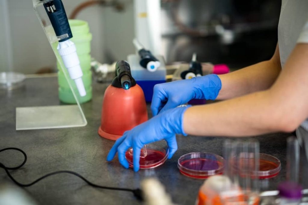 Why do some people live well into their 90s—or even past 100—with minimal signs of disease, while others develop age-related conditions much earlier? Scientists have long sought to unravel the genetic and biological foundations of longevity. Now, new research is shedding light on the genetic signatures that contribute to healthy aging, revealing that the secret to a long life may lie, at least in part, within our DNA. Decoding the Blueprint of Longevity A recent large-scale genomic study has identified a series of key genetic markers associated with extended lifespan and delayed onset of age-related diseases. By analyzing the genomes [&hellip;]